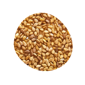 Praline White Sesame