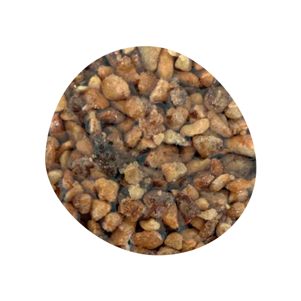 Caramelized Almond Granola