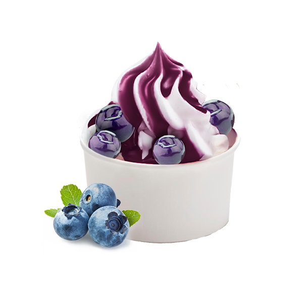 Blueberry Sauce