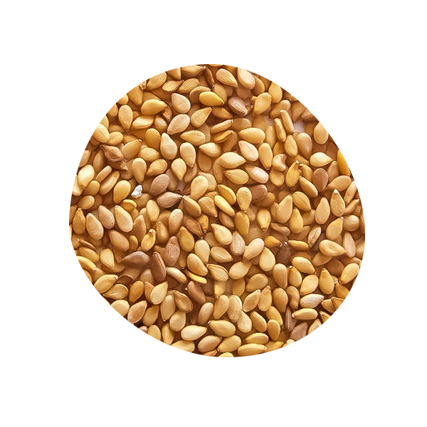 Praline White Sesame